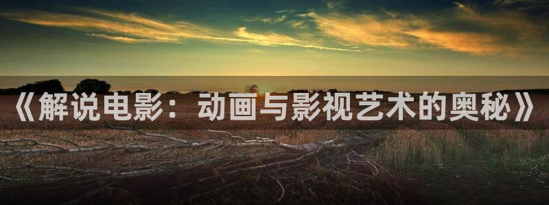 星空无限影视传媒av
