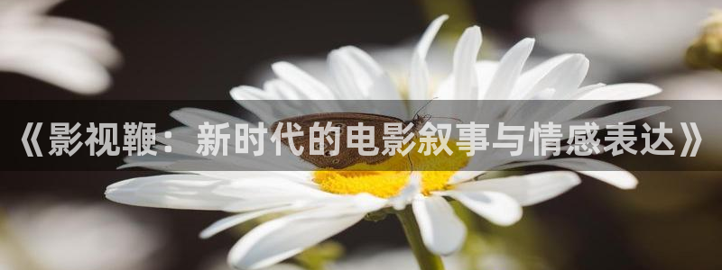 星空播放