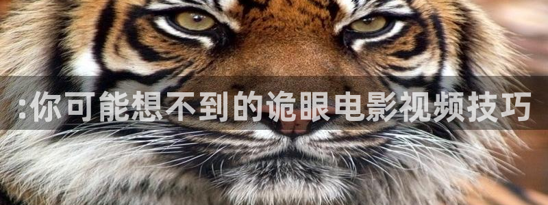 天美星空高清免费