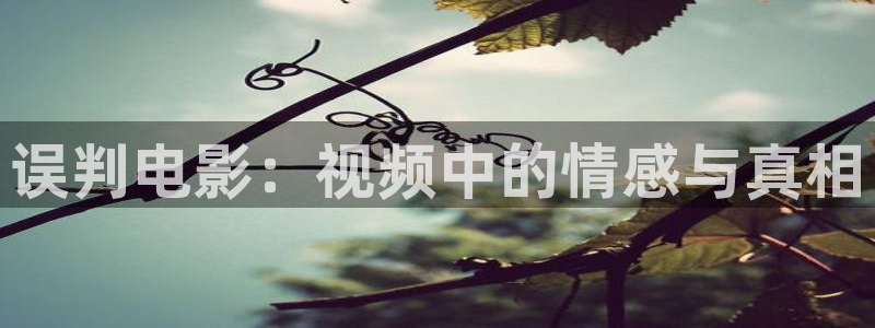 缘之空星空影院