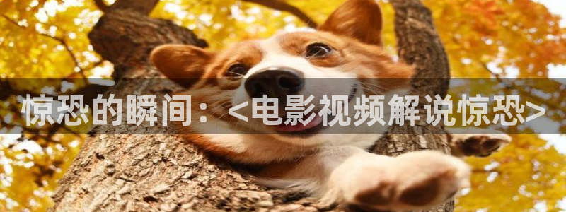 《无所畏惧2》免费观看星空影院