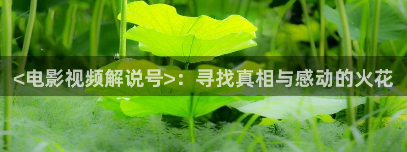 星空影院 在线播放