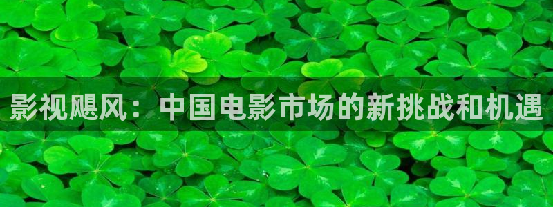 风车动漫动漫星空