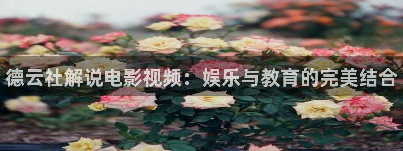 星空传媒三级