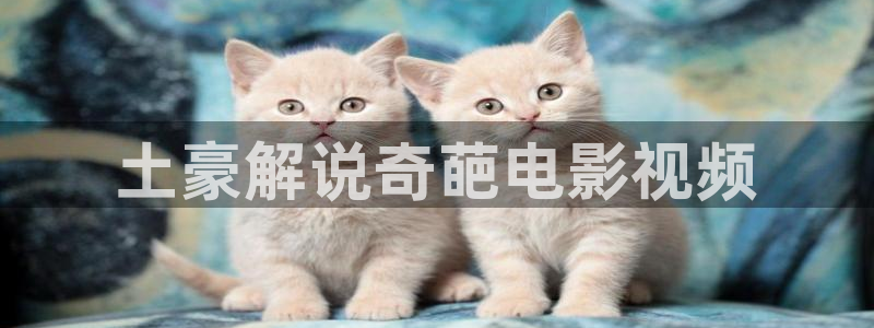 关岭星空影城