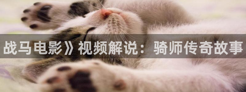 星空影院大全免费观看电视剧在线观看动漫