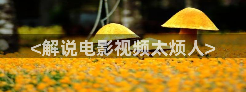 星空盒子好看电影