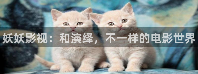 星辰影院 星辰影视 星空影院