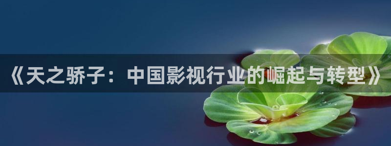 星空影院免费观看高清完整版