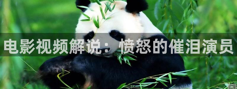 星空影视在线观看入口