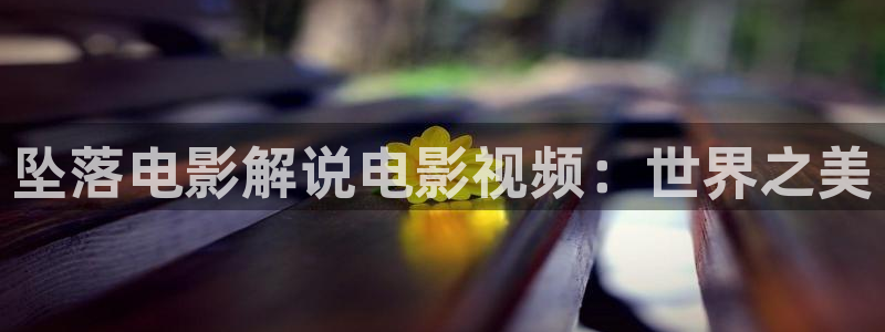 星空电影网站