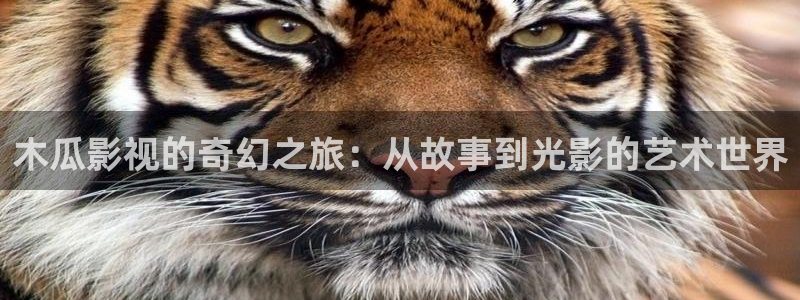 星空影视官网免费进入