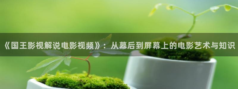 星空电影免费播放