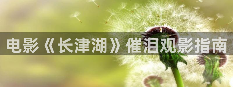 星空影视老版