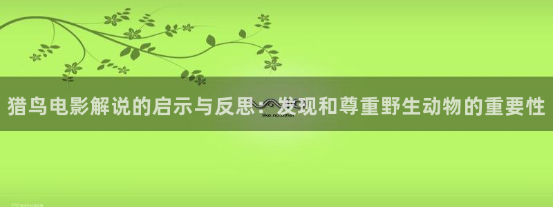 免费观看电视剧星空影视