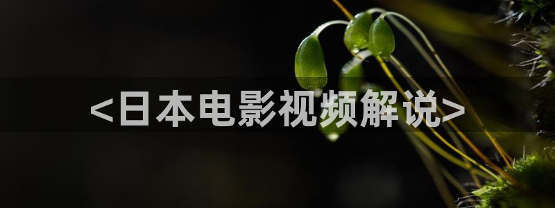 延安星空影院今日影讯