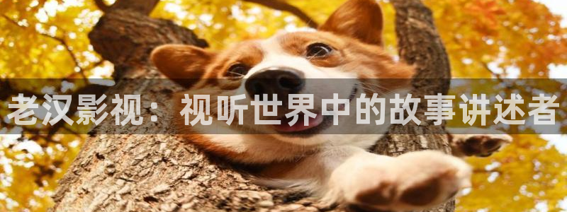 星空电影直播