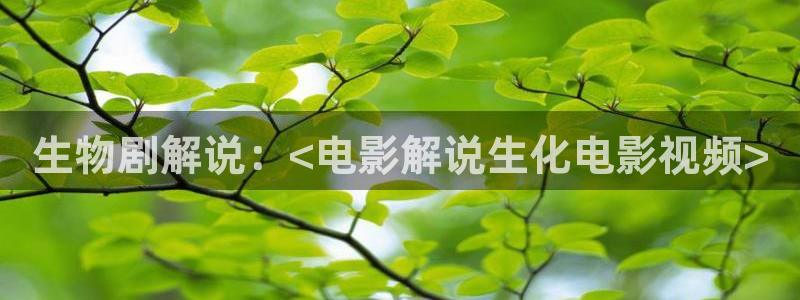 那片星空那片海哪里能看