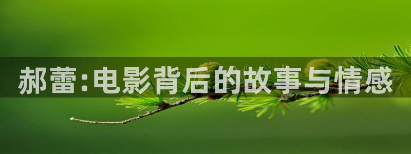 星空盒子好看电影