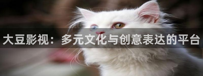 星空无限传媒影院
