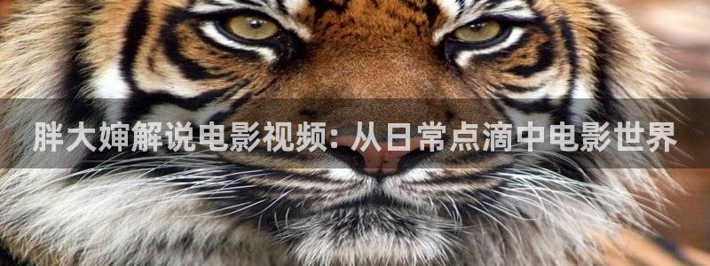 星空影院免费观看电视剧在线观看