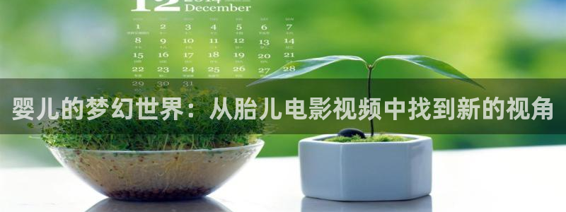 星空影院高清免费观看电视剧大全