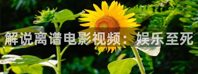 星空影院高清