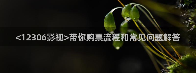 星空视频影视大全免费观看在线